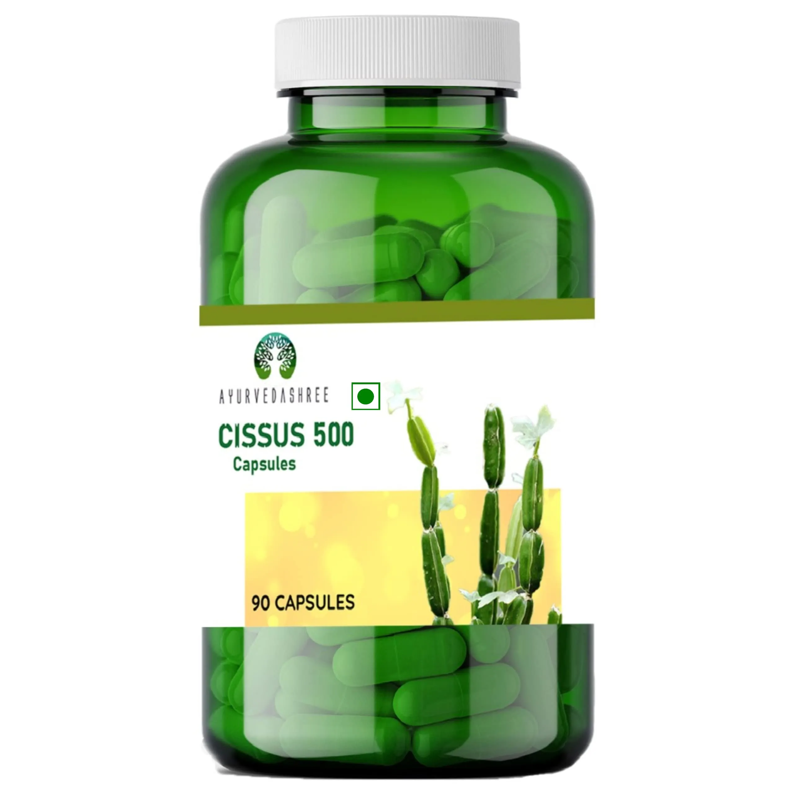 /store_images/products/ayurvedashree-cissus-500mg-capsules-90-capsules-1-olraaa.webp