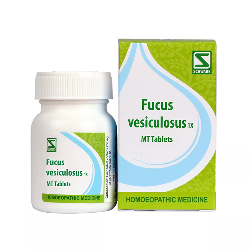 /store_images/products/dr-willmar-schwabe-fucus-vesiculosus-1x20-g-1.webp