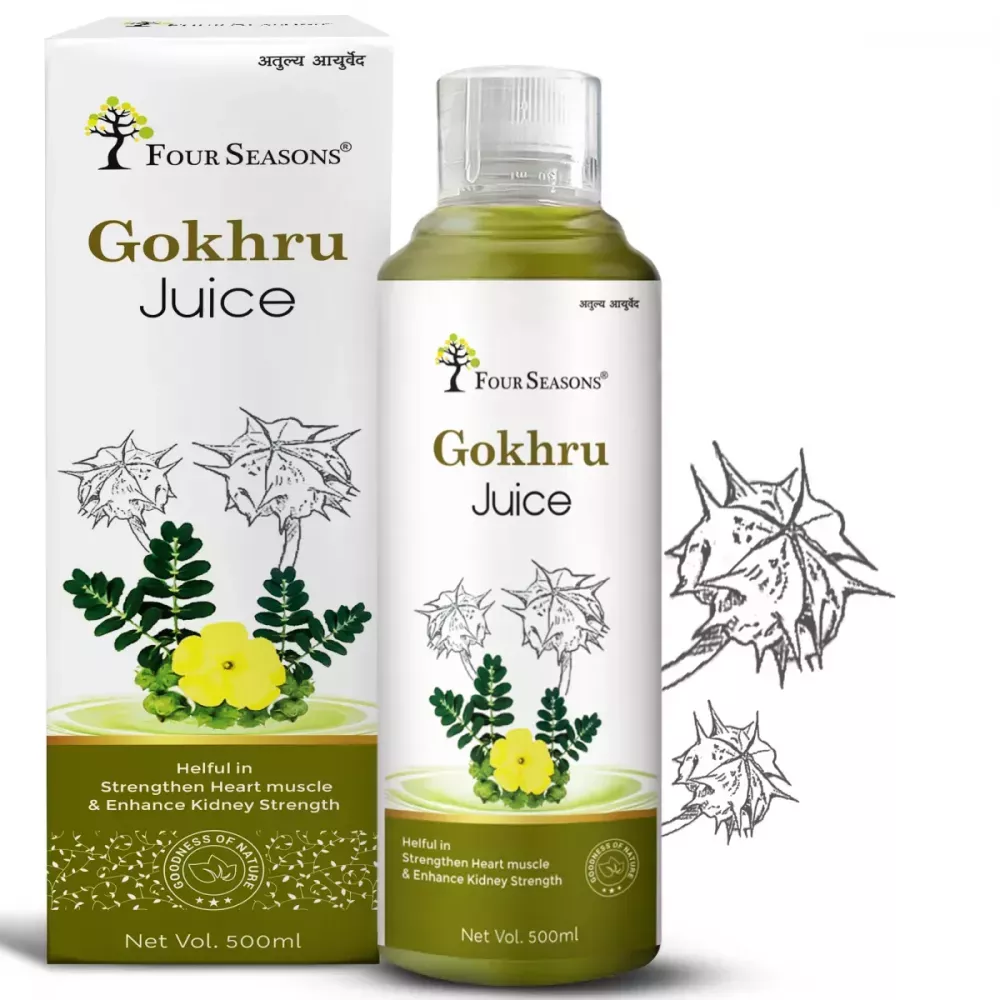 /store_images/products/four-seasons-gokhru-juice-500-ml-1.webp