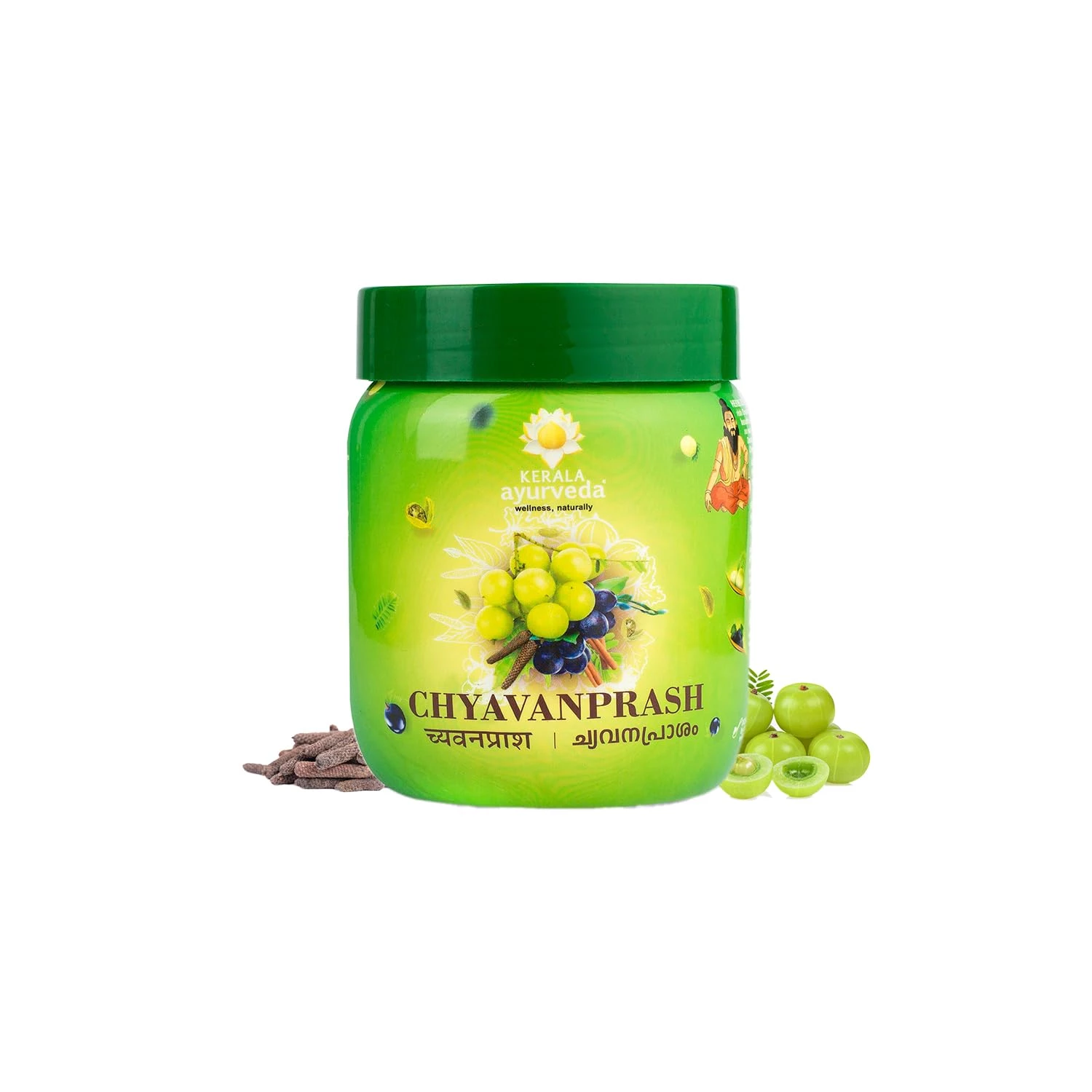 /store_images/products/kerala-ayurveda-chyavanprash-500-g-1.webp